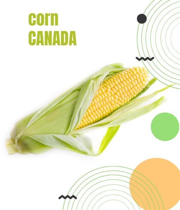 Canadian Corn