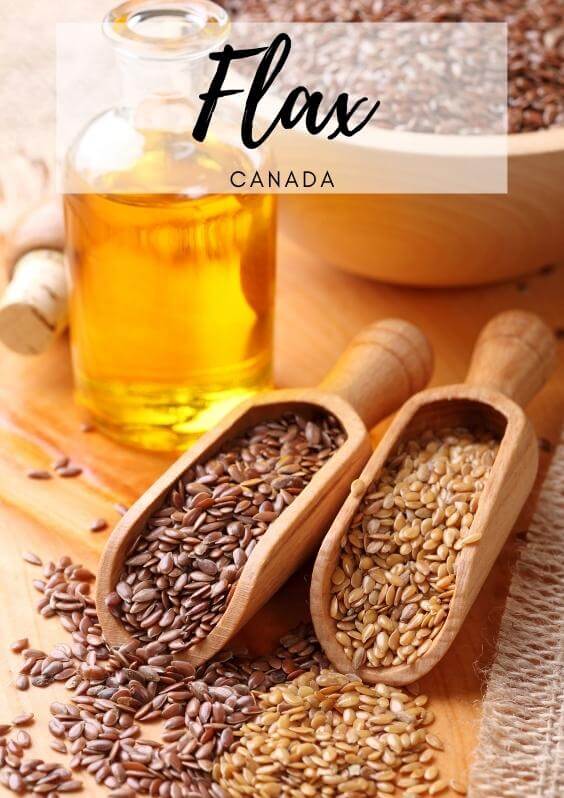 Canadian Flaxseed Producer, Supplier and Exporter Seed