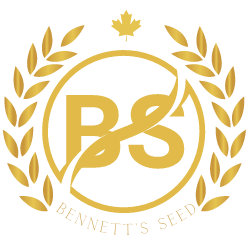 Bennett's Seed