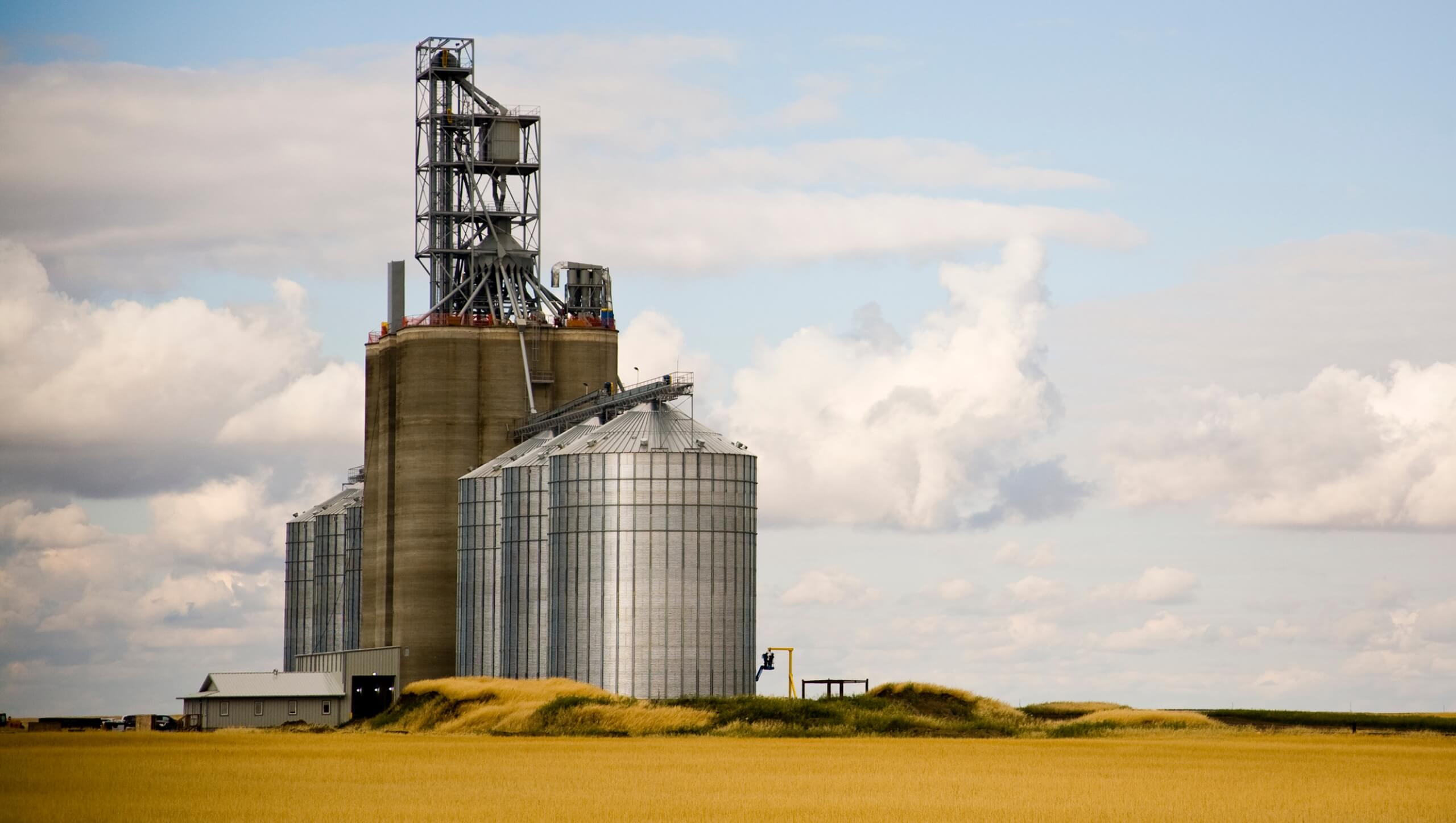 Grain elevator