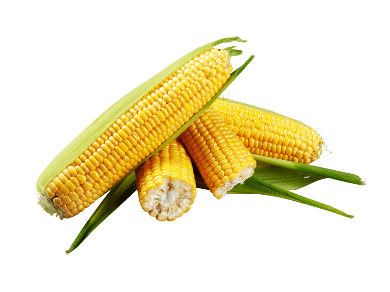 corn