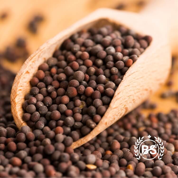 Bulk Canadian Brown Mustard Seed